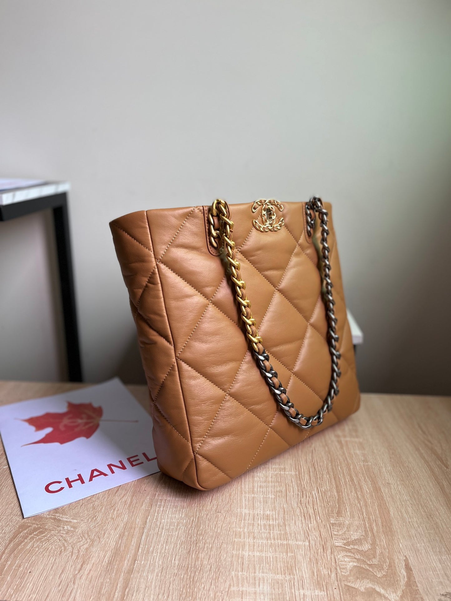CHANEL 19 SHOPPING BAG 3519