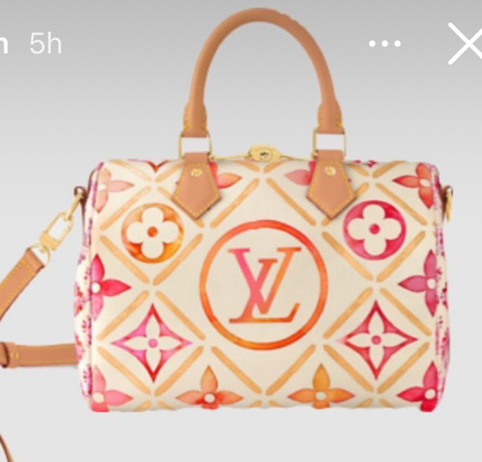 【Louis Vuitton】スピーディー 25 M11264