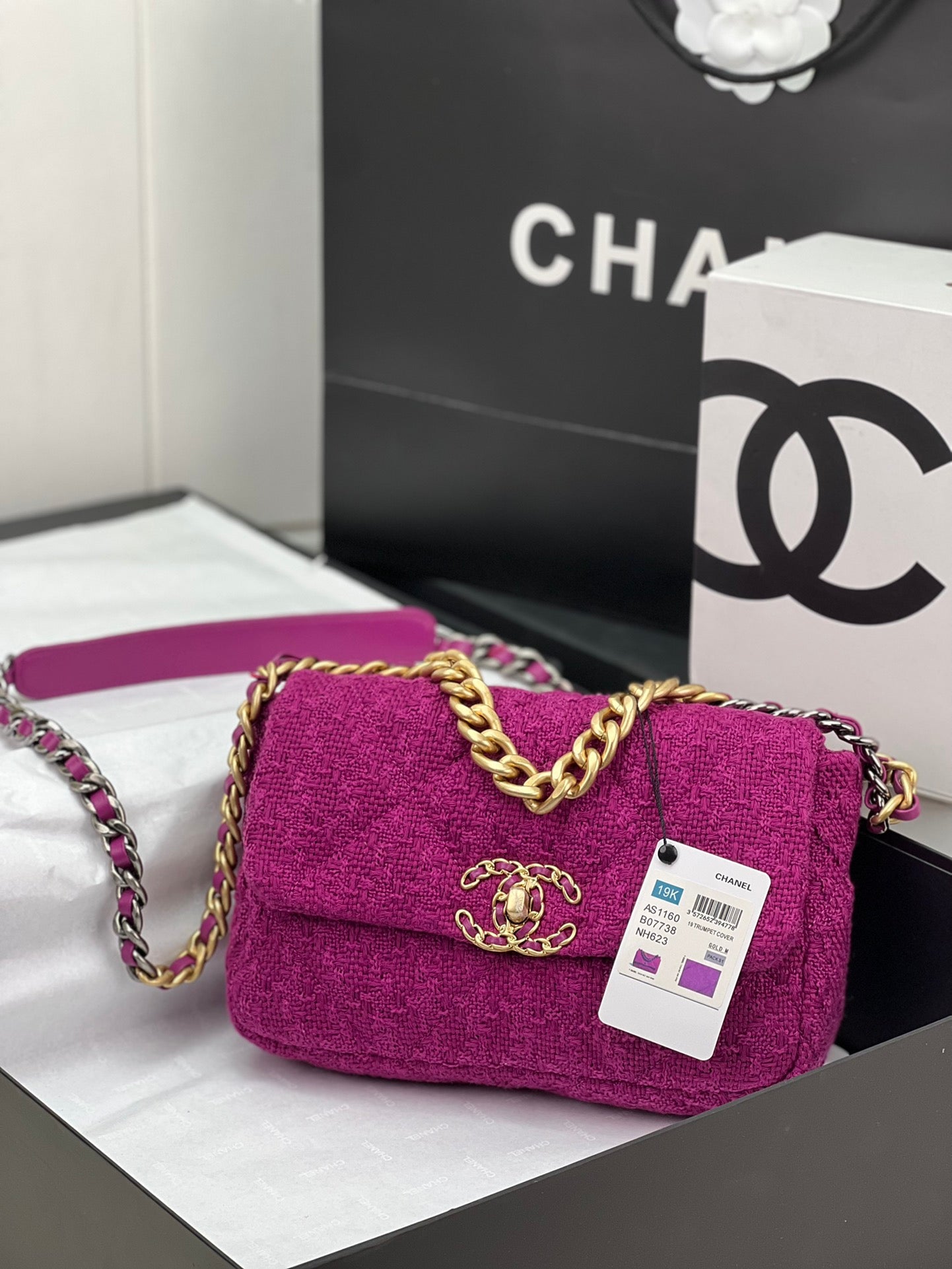 CHANEL 19 HANDBAG AS1161