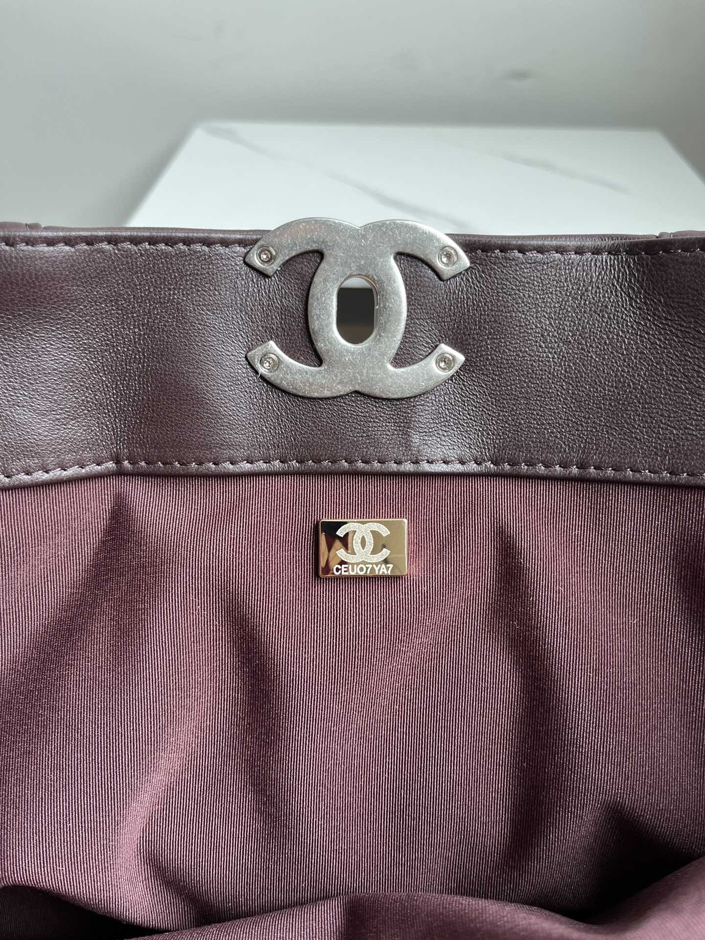 CHANEL 19 SHOPPING BAG 3360