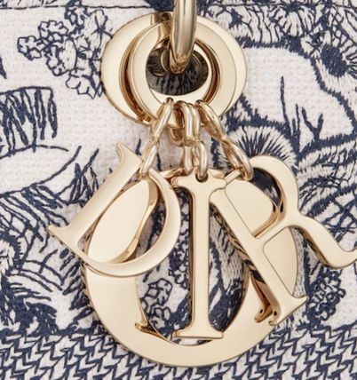 【DIOR】2種類★LADY D-LITE ミディアムバッグ★M0565OTDT_M808