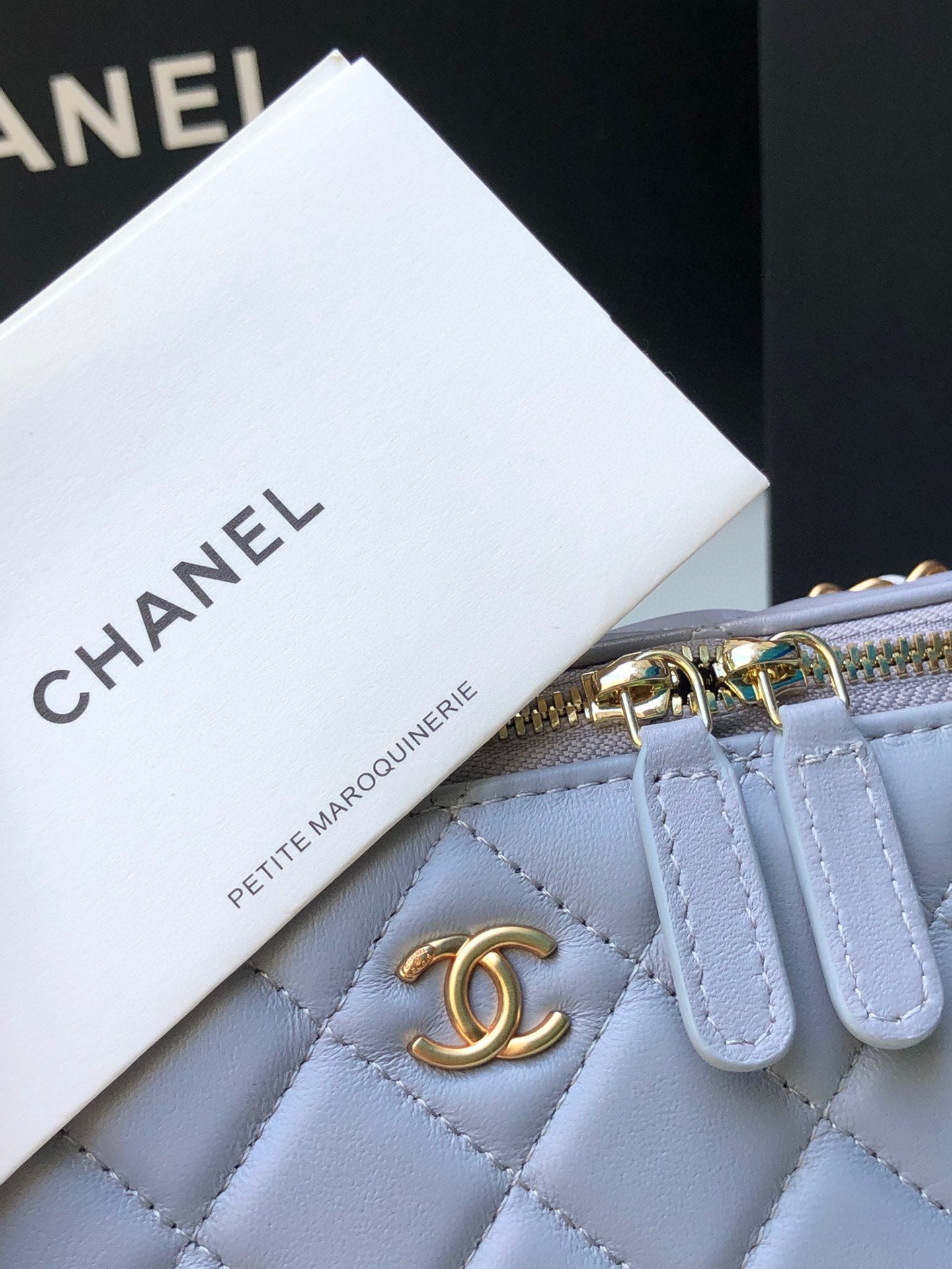 Chanel Classic Vanity 22C Bag with Chain AP2303