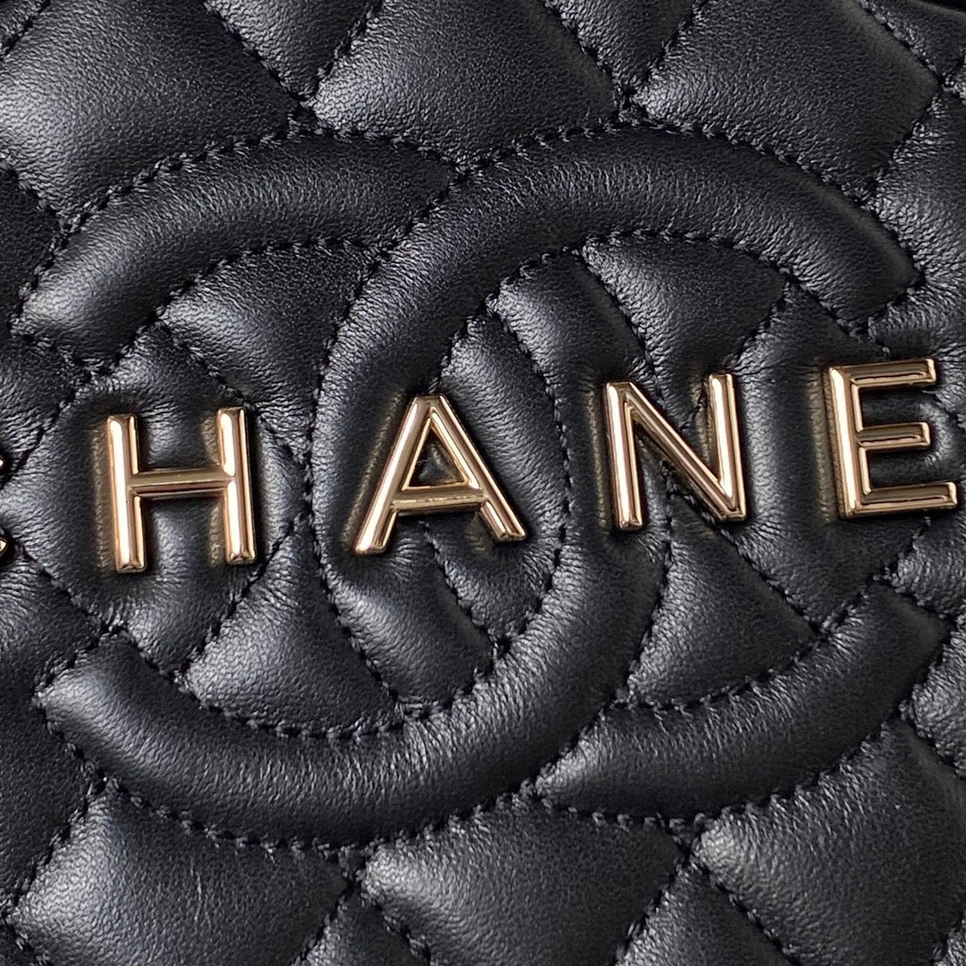 CHANEL 2024 Cruise CHANEL ☆STAR HANDBAG ☆AS4579