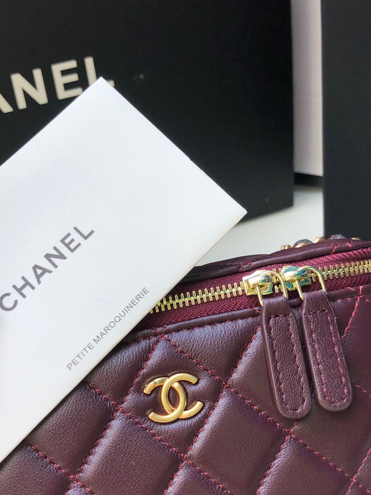 Chanel Classic Vanity 22C Bag with Chain AP2303