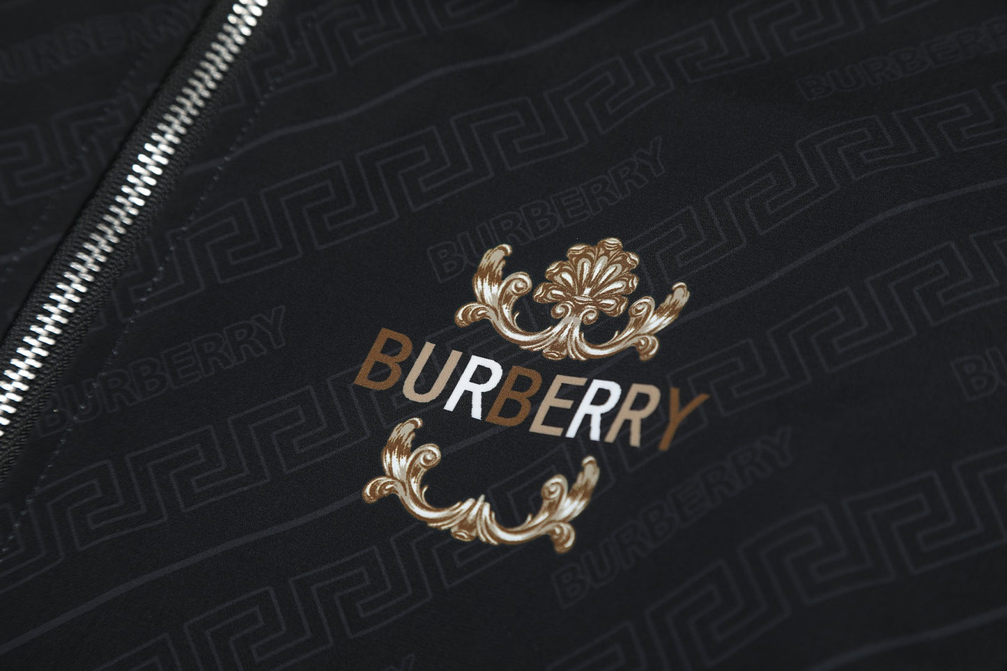 【BURBERRY旗艦店】冬の新作数量限定予行販売モンクレールジャケット