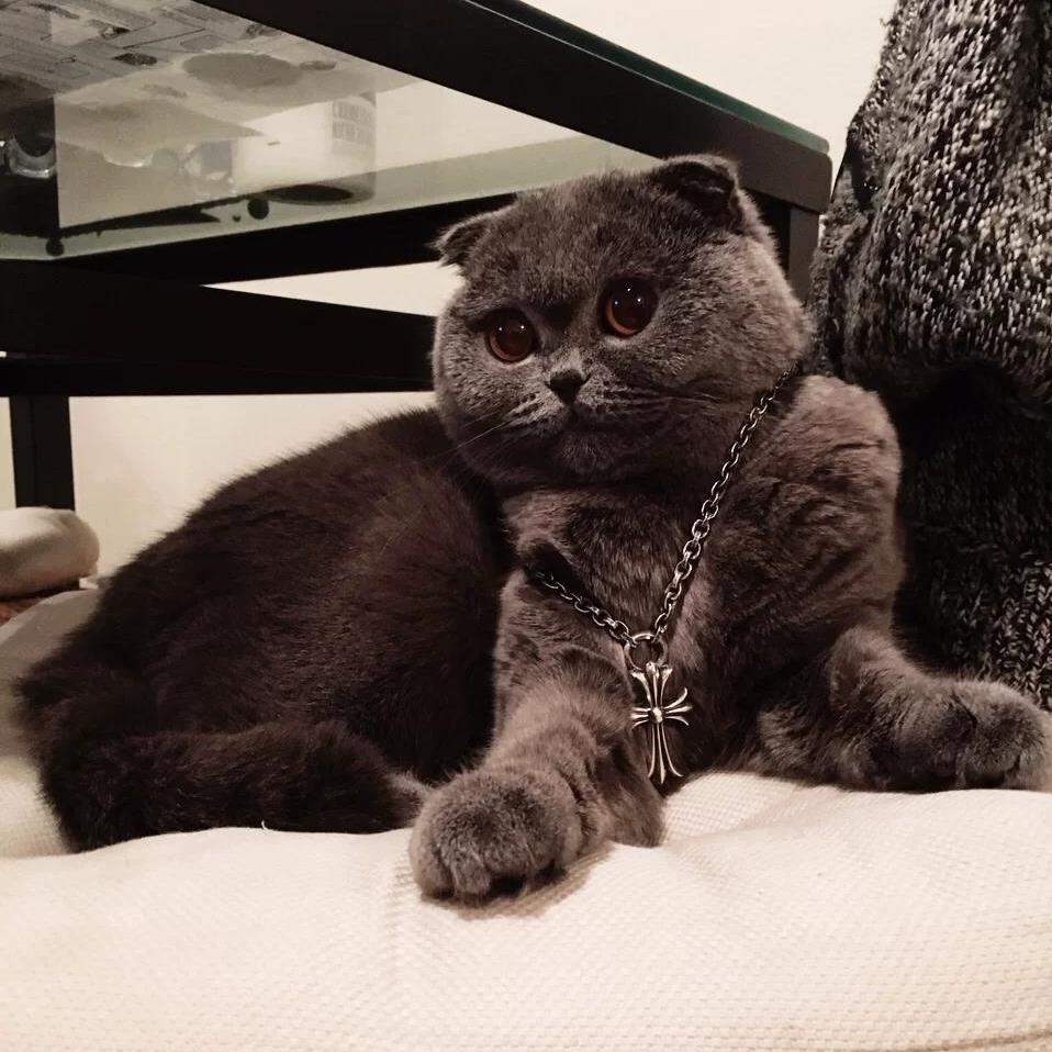 Chrome Hearts (クロムハーツ) クロス ネックレス 70cm