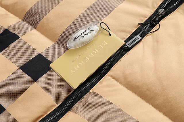 Burberry (バーバリー) ダウンジャケット