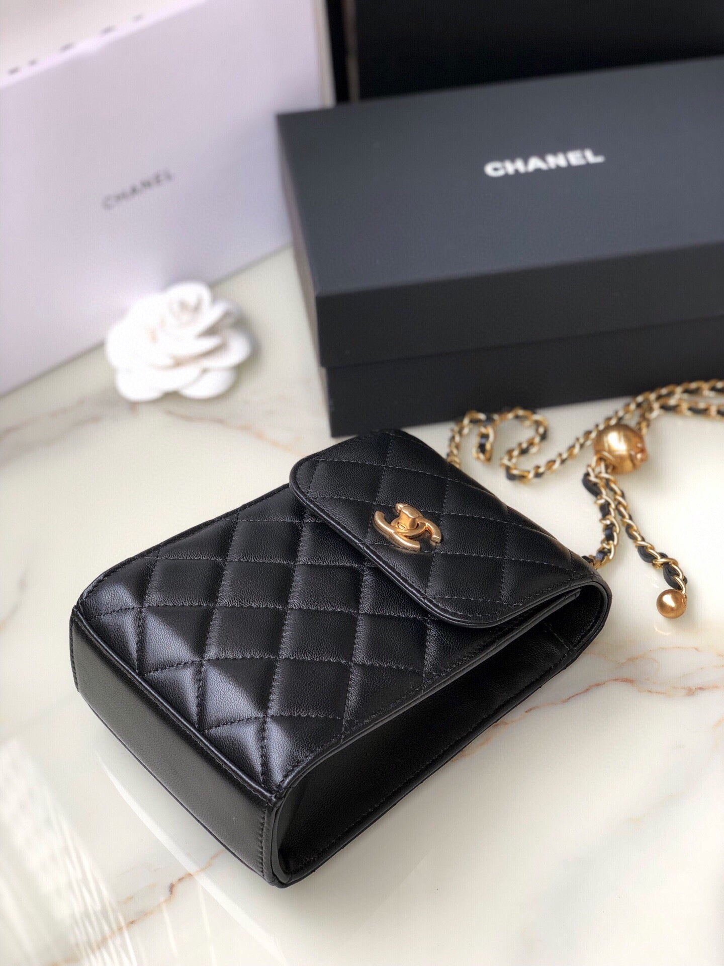 CHANEL CLUTCH 1496
