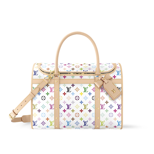 LOUIS VUITTON × TM サック･シヤン NM