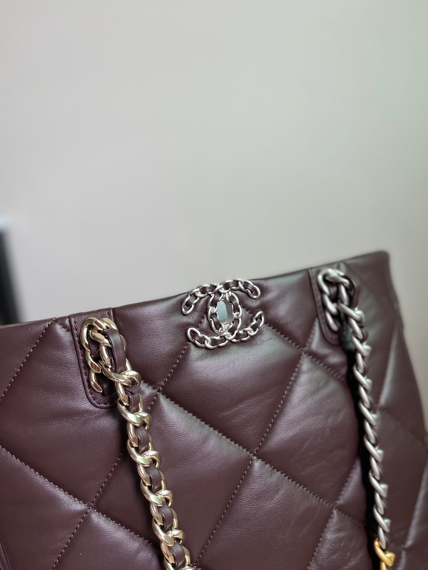 CHANEL 19 SHOPPING BAG 3519