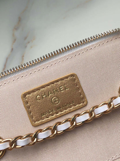 Chanel Classic Vanity 22C Bag with Chain AP2303