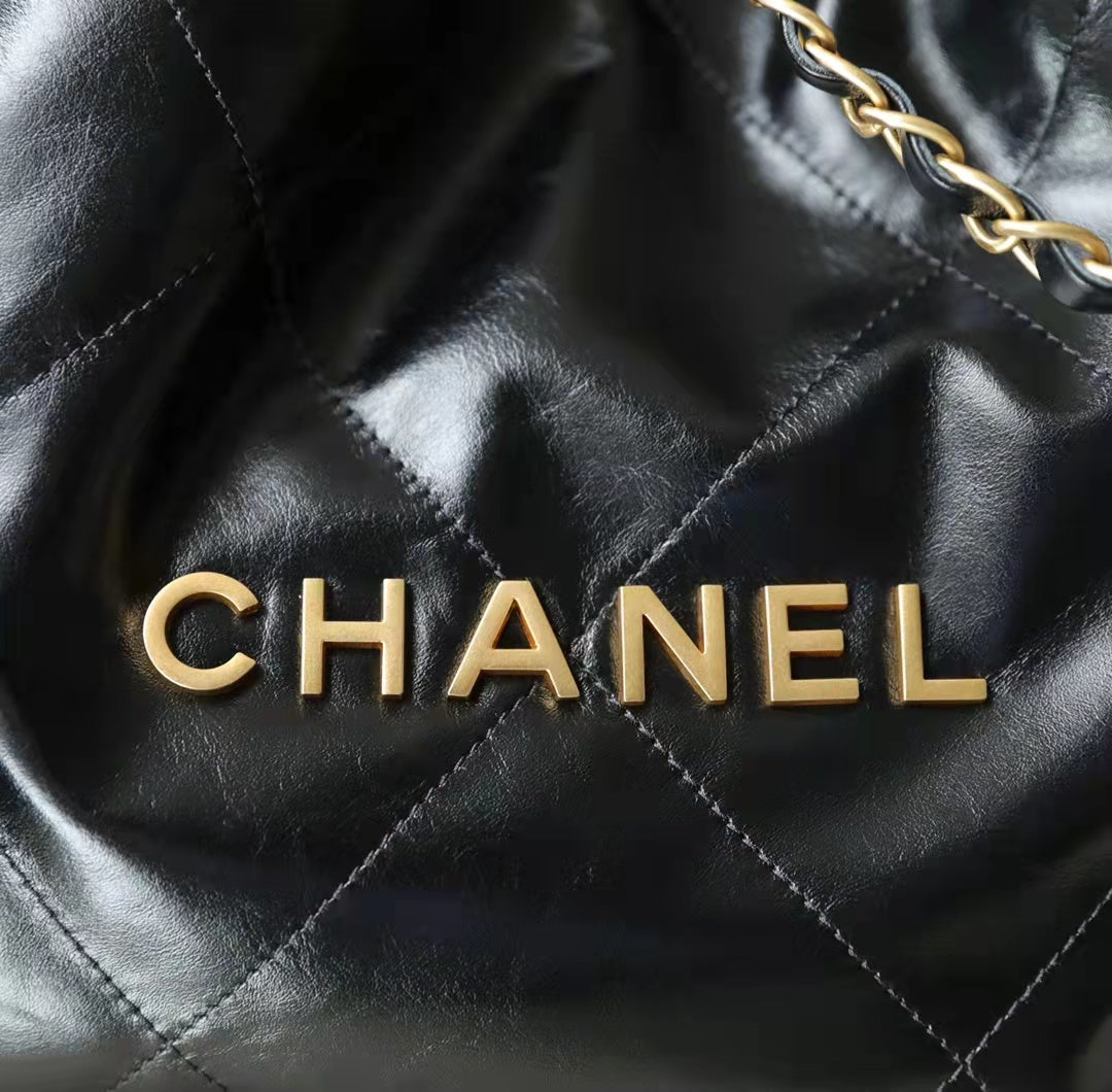 Chanel 22 Medium AS3261