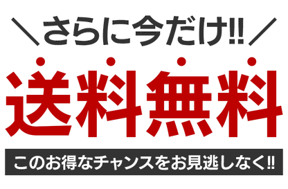 【BURBERRY】ご好評に付き再入荷！