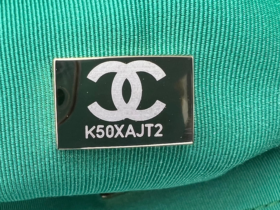 CHANEL 19 HANDBAG AS1161