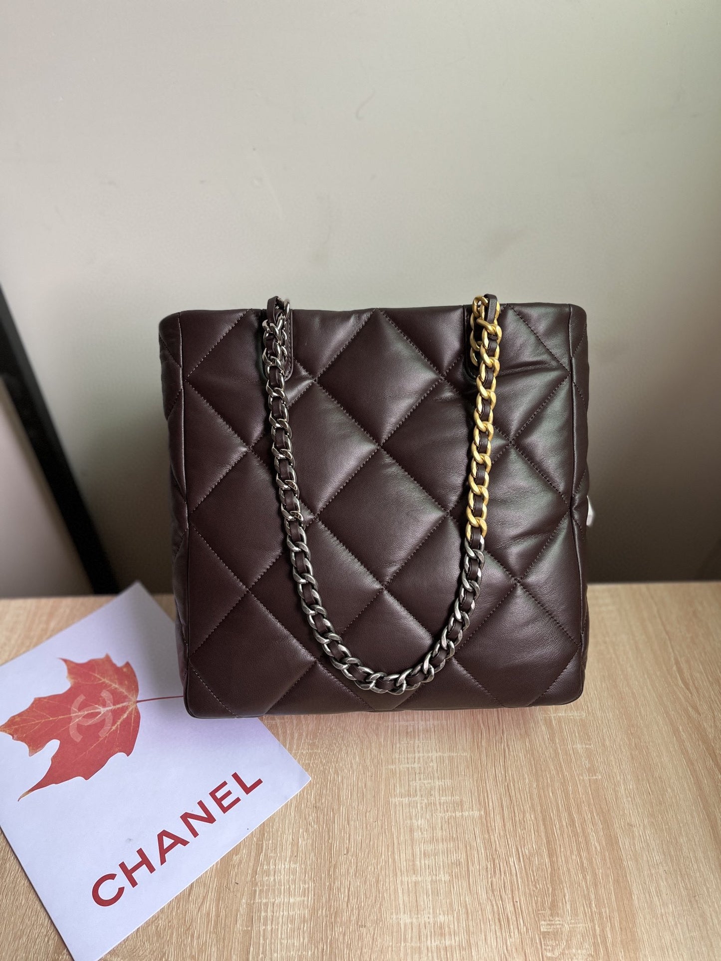 CHANEL 19 SHOPPING BAG 3519