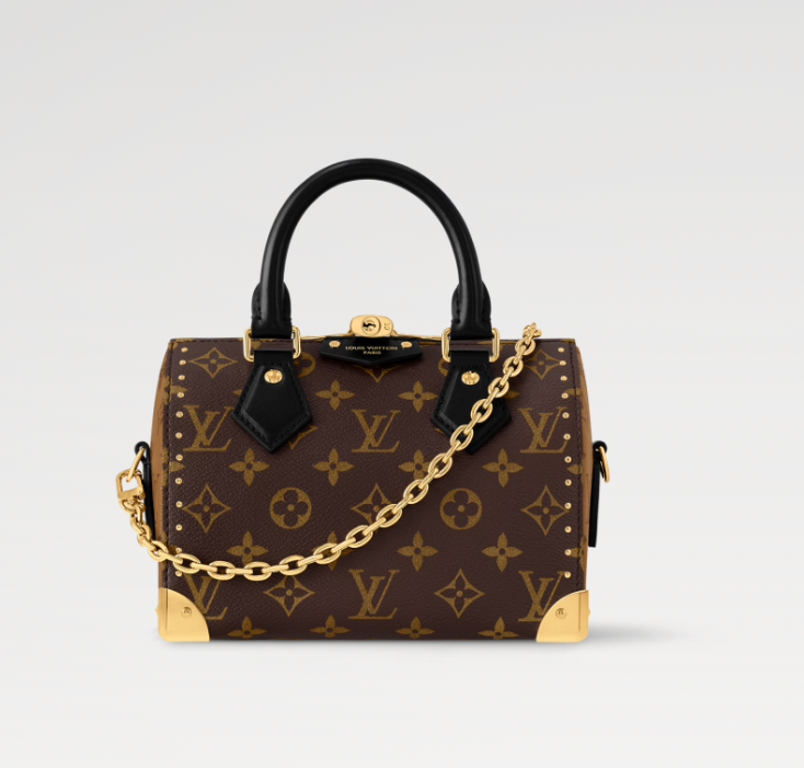 Louis Vuitton スピーディ トランク 20 M13146