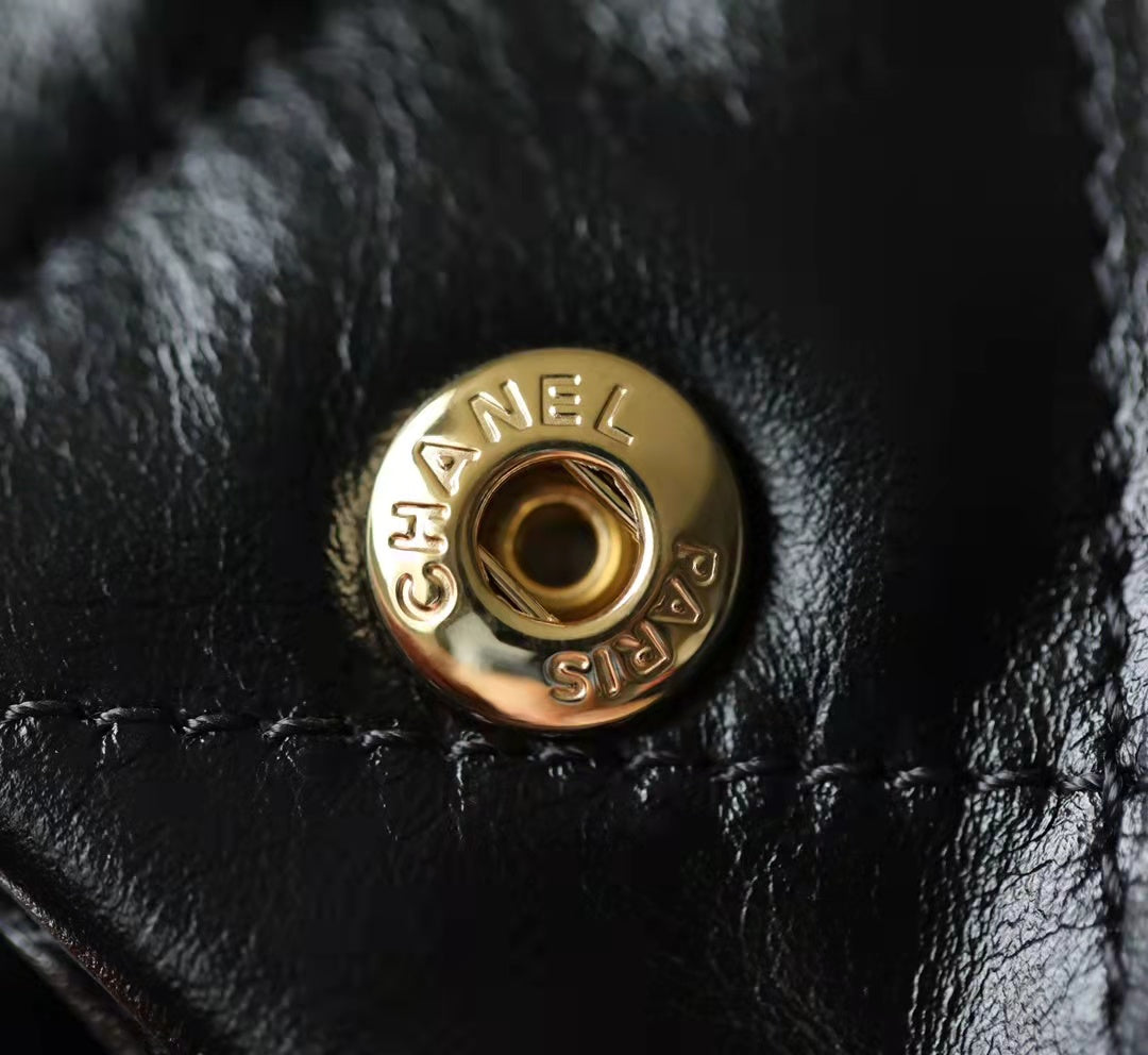 Chanel 22 Medium AS3261